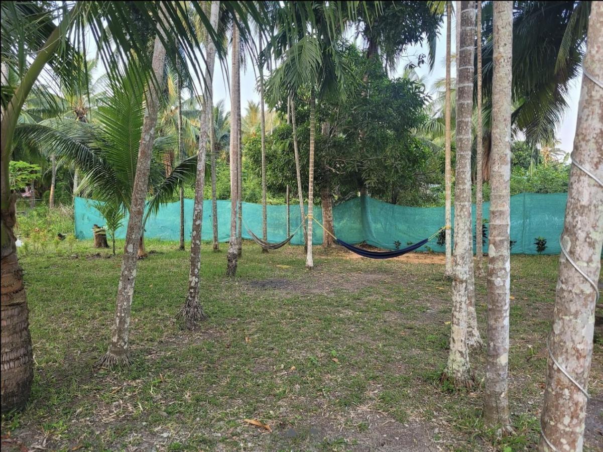Blue Lagoon Resort, Neil Island Sitapur Exterior foto